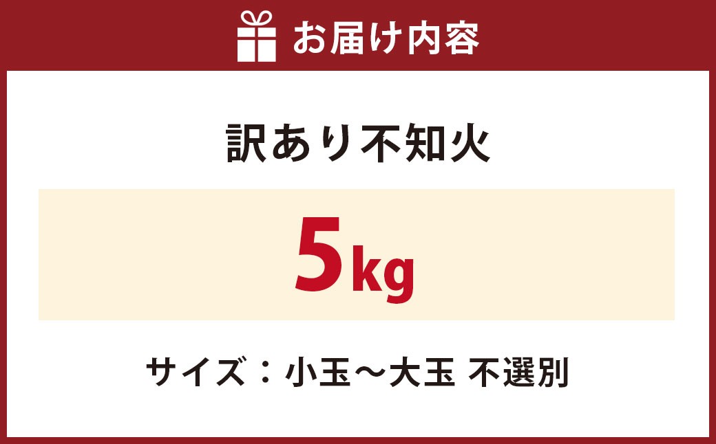 訳あり不知火5kg