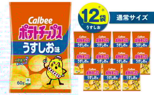 カルビー ポテトチップス【うすしお】12袋　K194-002_03
