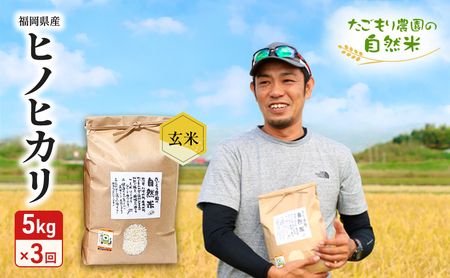 ヒノヒカリ たごもり農園 自然米 玄米 ヒノヒカリ【5kg】【定期便3ヶ月】