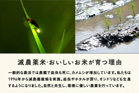 【令和5年産】福井県産 内農米 コシヒカリ 無洗米 5kg