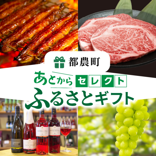 ≪期限1年間≫あとからセレクト 250万円コース【ふるさとギフト】 あとから選べる カタログ ギフト 鰻 肉 ワイン 都農町_T998-031