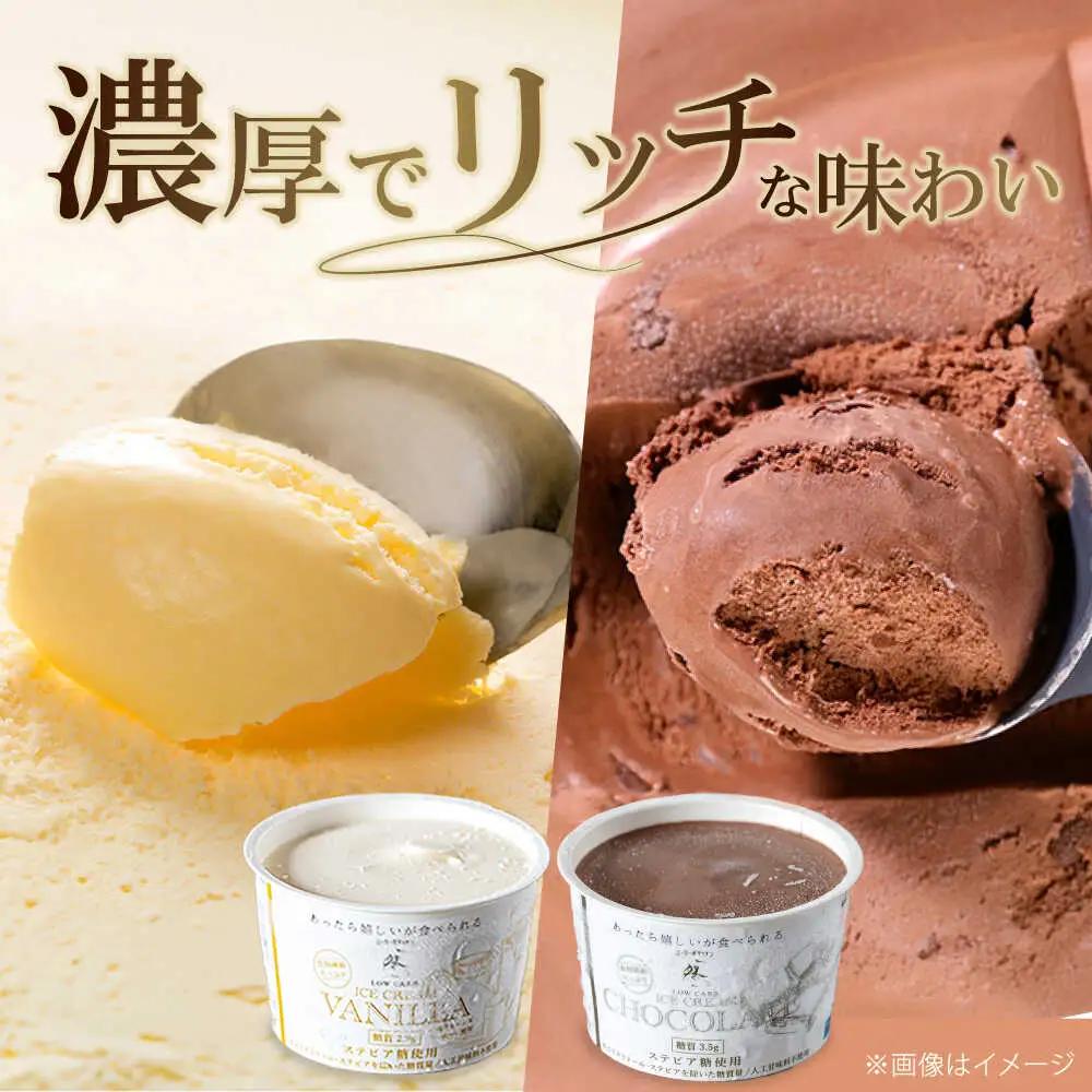 バニラ・チョコアイス 各3個[AOBD037] アイス