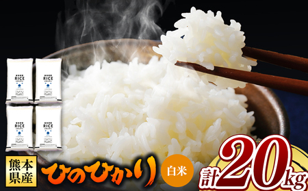 熊本県産 ひのひかり 白米 20kg | お米 米 こめ おこめ 精米 白米 ヒノヒカリ 20キロ フードロス くまもと 熊本 熊本県 玉名市 玉名