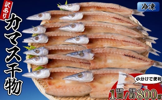 カマスの干物 4袋（約8枚） 【1回分】