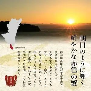 【先行予約】＜2026年11月より順次発送予定＞宮崎県串間市産 特大アサヒガニ1kg_K027-015-01