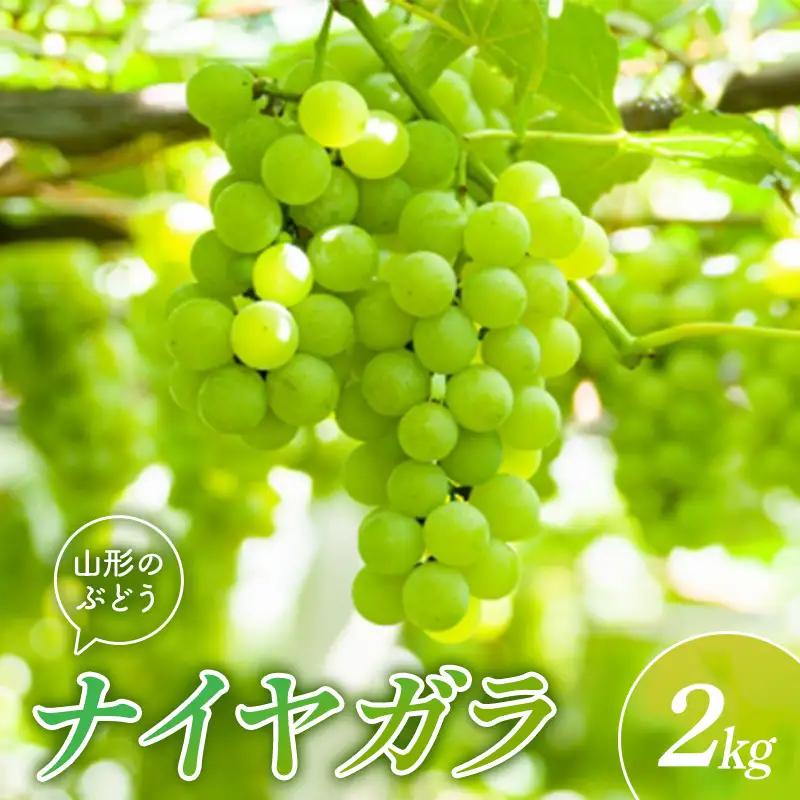 山形県産ぶどう ナイヤガラ 2kg FSY-2893