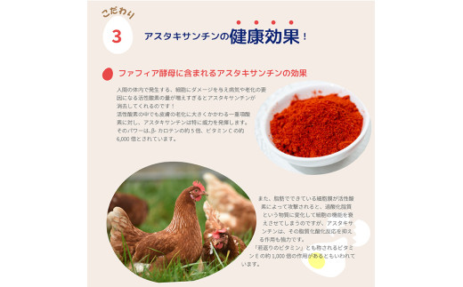かっぱの健卵 15個入り【大熊養鶏場】たまご 卵 玉子 タマゴ 生卵 こだわり 卵かけご飯 TKG 国産 お取り寄せ 北海道 比布町 ぴっぷ 1006-001