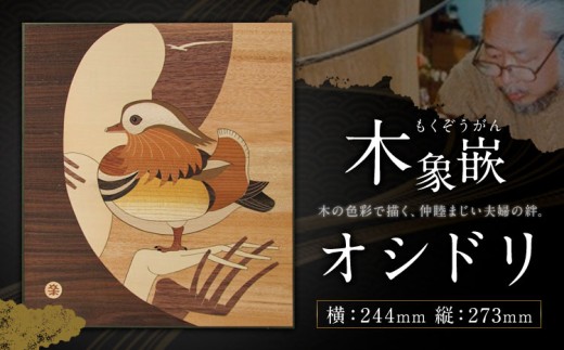 千葉県伝統工芸品 木象嵌 オシドリ 1枚 244mm×273mm 楽堂工房 《30日以内に出荷予定(土日祝除く)》千葉県 我孫子市 楽堂象嵌 工芸品 工芸 自然木 天然の木 アート 作品 木材 インテリア おしどり