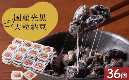 
                  国産光黒大粒納豆ミニパック36個 納豆 発酵食品 大豆食品 ご飯のお供 納豆 加工品 食品 栃木県 足利市 F7Z-1824
                