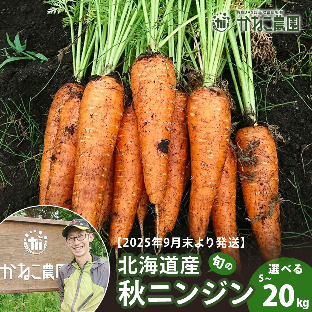 【ふるさと納税】【2025年9月末より発送】北海道産 旬の秋ニンジン 選べる5kg～20kg 【かねこ農園】北海道ふるさと納税 人参 野菜 にんじん 秋人参 北海道 【北海道千歳市】