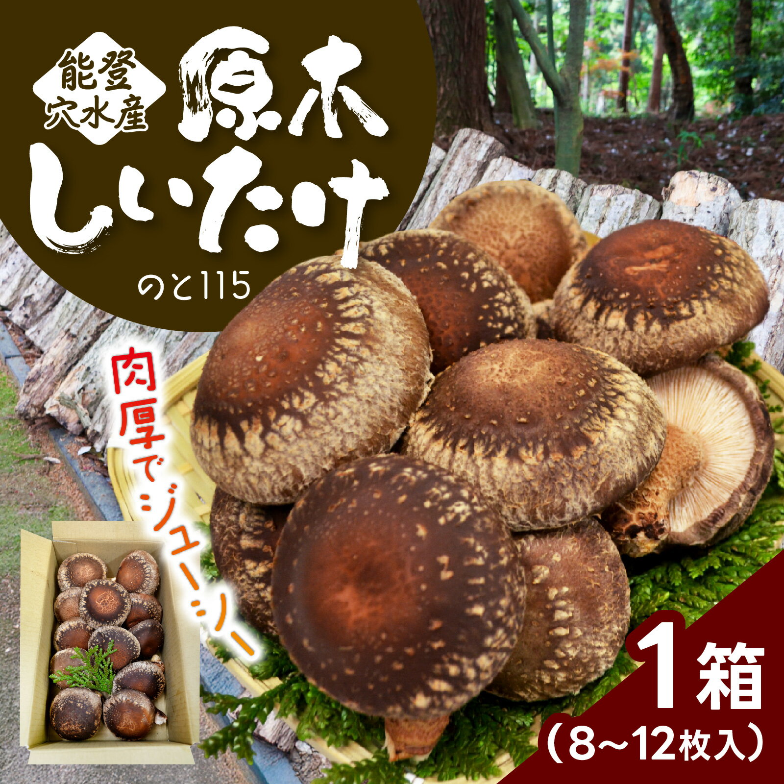 【ふるさと納税】【先行予約】奥能登 穴水産 原木しいたけ (のと115)8～12枚【2027年1月以降順次発送】/ 奥能登 能登半島 国産 椎茸 生しいたけ きのこ キノコ 原木 肉厚 食べ応え 送料無料