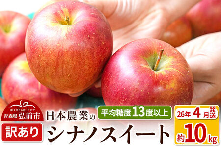【26年4月クール便発送】りんご 平均糖度13度以上！ シナノスイート 約10kg 訳あり【CA貯蔵】クール便 青森 果物 フルーツ 林檎 リンゴ くだもの 不揃い 規格外