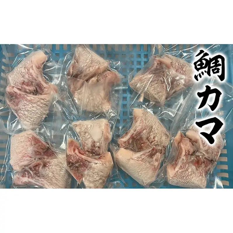 活凍結シリーズ　活凍結 鯛カマ・イカゲソ 800g 魚介 海鮮 急速凍結 鮮度保持 真空パック 便利 ギフト 贈答用 兵庫県 洲本市 淡路島