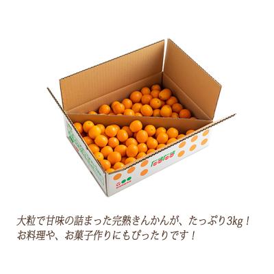 ふるさと納税 高原町 高原町産完熟きんかん『たまたま』L玉たっぷり3kg[宮崎ブランド金柑]　TF052 |  | 01