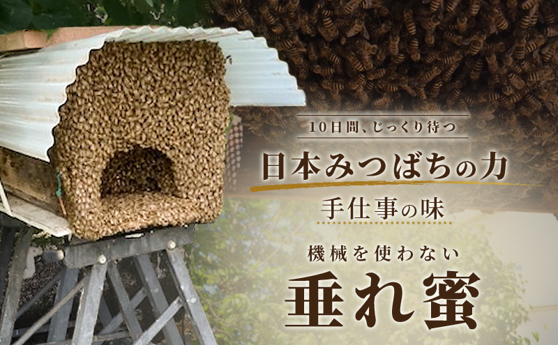 信州日本みつばち 和蜂蜜（600g）