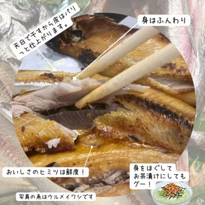 M215 冷蔵！天日干し 手作り干物詰め合わせ地魚セット 無添加土佐干物 期間限定品