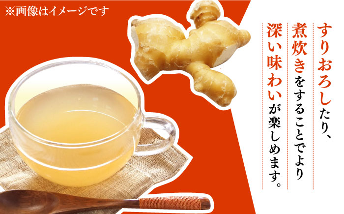 【2026年1月末〜順次発送】囲い生姜 約 2kg / ショウガ しょうが 生姜 / 南島原市 / ふくはちファーム [SBS010]