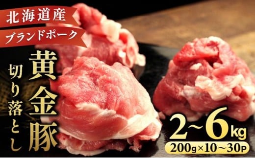 
            【選べる内容量&配送月】伊達 黄金豚 のジューシーな 切り落とし 肉  2kg~6kg | 三元豚  豚肉 ぶた肉 小間切れ スライス 小分け 冷凍
          