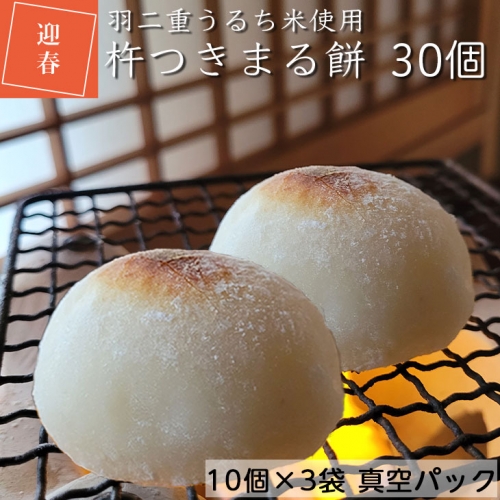 お餅（丸餅・杵つき餅）30個入り【10個入りパック×3】＜京風料理 新橋謹製＞新羽二重糯米 ※着日指定不可