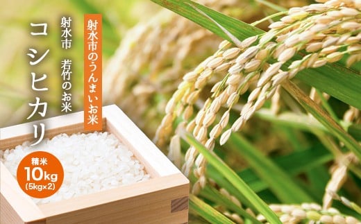 【R7年度産米 新米予約】 [人気のブランド米]コシヒカリ「若竹のお米 」　10kg（5kg×2）【精米】｜米 新米 先行予約 令和7年産米 ブランド米 銘柄米 こめ 白米 先行予約 送料無料 富山県 射水市