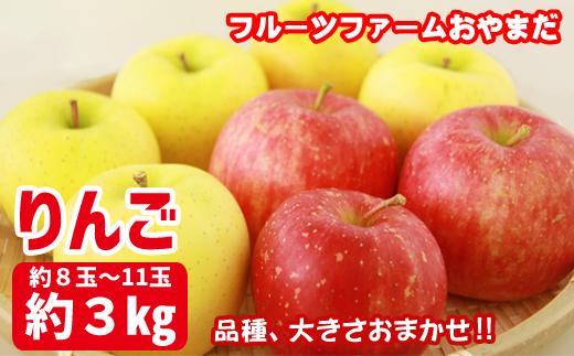 【 2025年 10月上旬より発送】 岩手県産 りんご 家庭用 3kg 約 8玉 から 11玉 ／【フルーツファームおやまだ】 品種 おまかせ リンゴ 林檎 アップル 3キロ ３kg 果物 くだもの フルーツ デザート 自宅用 仕送り 季節限定 期間限定 旬 お取り寄せ 農家直送 贈り物 ギフト おすすめ オススメ