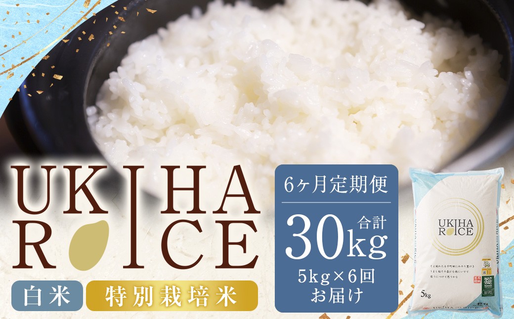 
            【6ヶ月定期便】 みずほファーム UKIHA RICE 白米 5kg✕6回 （特別栽培米） 計30kg 【2025年12月上旬～2026年7月下旬発送予定】 ヒノヒカリ ひのひかり 米 こめ コメ お米 おこめ 白米 精米 ごはん ご飯 お中元 お歳暮 ギフト プレゼント 贈答品 おすすめ 国産
          