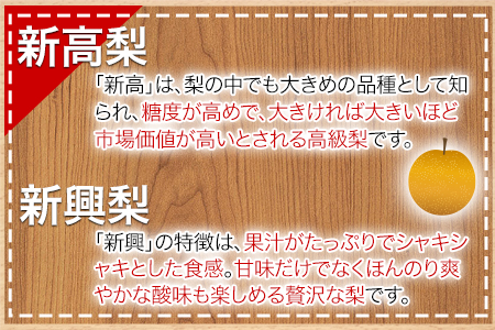 【日付指定不可】『清田果樹園』の原倉梨 期間限定 予約受付中 たっぷり約5kg 6-14玉前後《9月上旬-10月上旬頃出荷》 果汁あふれるシャキシャキ食感！新高梨 新興梨 あきづき 豊水梨 熊本県玉名