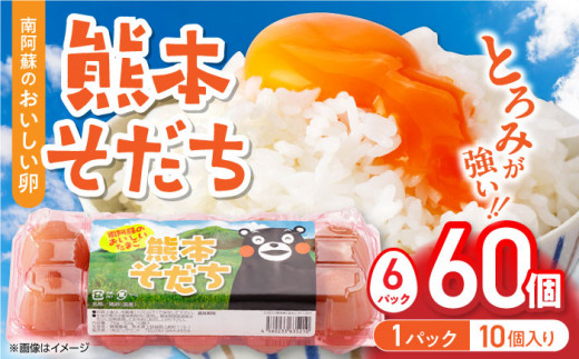 熊本そだち 60個入り ( 10個入り × 6パック ) 熊本県産 山都町 たまご 卵 玉子 タマゴ オムレツ 朝食 料理 人気 たまご 卵焼き 鶏卵 たまご料理【蘇陽農場】[YBE033]