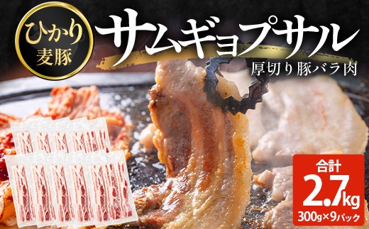 
                  サムギョプサル用 厚切り豚バラ肉 約2.7kg（300g×9パック） ひかり麦豚 トレーなし  HM-21 ｜ サムギョプサル 肉 お肉 にく 豚肉 バラ肉 厚切り 冷凍 真空冷凍 小分け 焼肉 BBQ 産地直送 鹿児島県 南大隅町 ひかり麦豚直売所
                