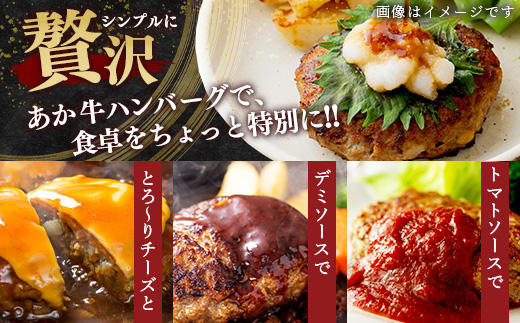 【GI認証】くまもと あか牛 ハンバーグ《ご家庭用》150g×10個 あか牛100％ 赤身 冷凍 熊本県産 あかうし はんばーぐ 惣菜 おかず 和牛 牛肉 オオツカ 073-0409