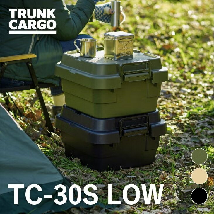 【ふるさと納税】トランクカーゴ　TC-30S LOW