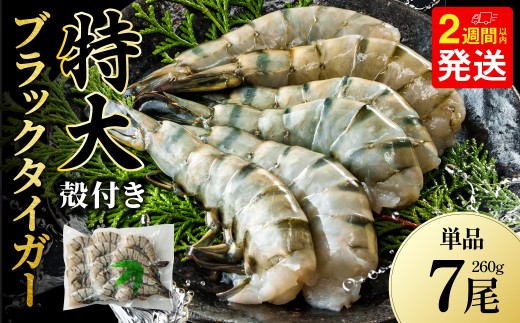 特大 ブラックタイガー 無頭えび 260g前後（7尾） 【入金確認後14営業日程度で発送】｜海老 えび エビ エビフライ 海老フライ えびフライ エビチリ 天丼 海鮮丼 すし スシ 寿司 ブラックタイガー 大型 大容量 海鮮 魚介 殻付き ギフト 進物 贈答 贈り物 誕生日 おくりもの プレゼント 冷凍 大阪府 阪南市