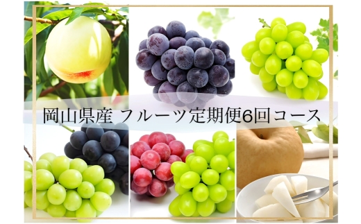 【 全6回定期便 】 岡山県産 フルーツ定期便 ＜ お一人様向け ＞ 白桃 ニューピオーネ シャインマスカット 晴王 果物 くだもの 果実 フルーツ 国産 ぶどう ブドウ 葡萄 もも 桃 モモ 梨 なし ナシ 化粧箱 【 2026年7月上旬～12月下旬迄発送予定 】