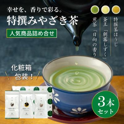 ふるさと納税 日向市 特撰みやざき茶　3本セット