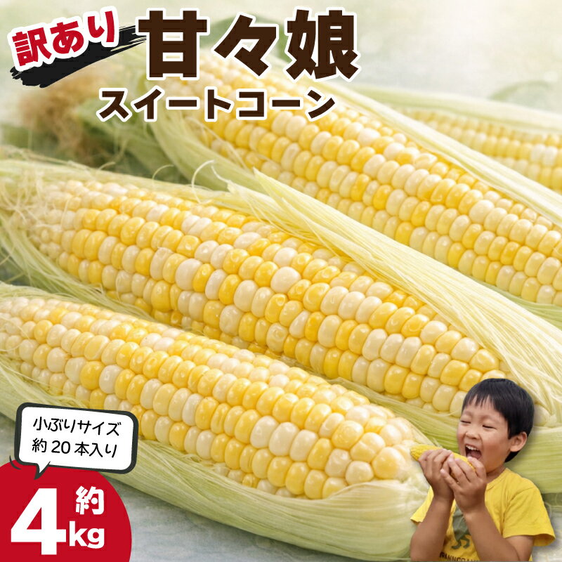 【ふるさと納税】 訳あり とうもろこし 甘々娘 4kg 20本 小ぶり Sサイズ 規格外 サイズ混合 《 2026年6月発送 》 スイートコーン かんかん娘 冷蔵 コーン 野菜 やさい 新鮮 かんかんむすめ カンカン娘 BBQ 焼き肉 アウトドア キャンプ 特産品 産地直送 徳島県 吉野川市
