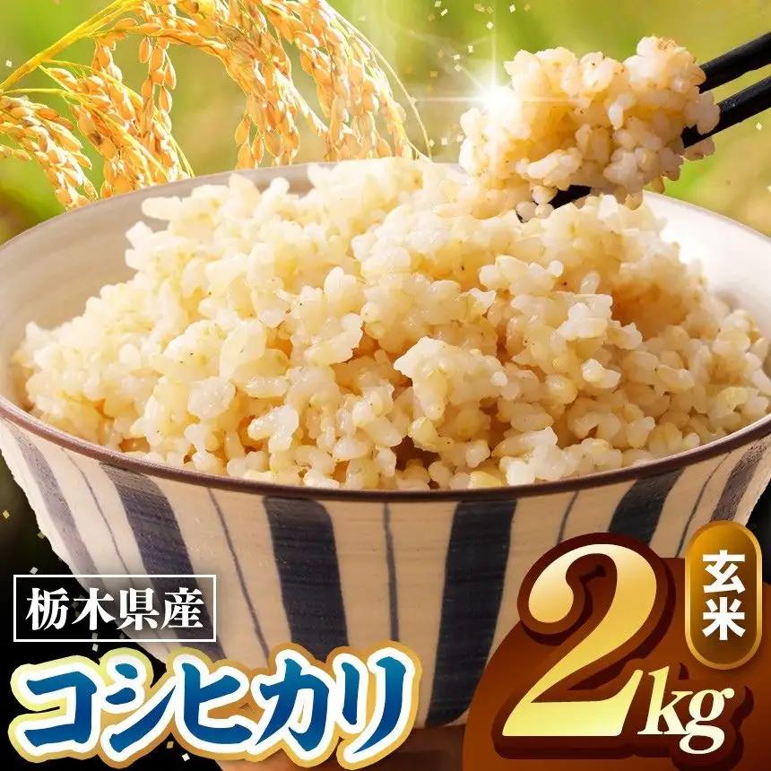 令和8年度産 先行予約 こしひかり 玄米 約2kg
