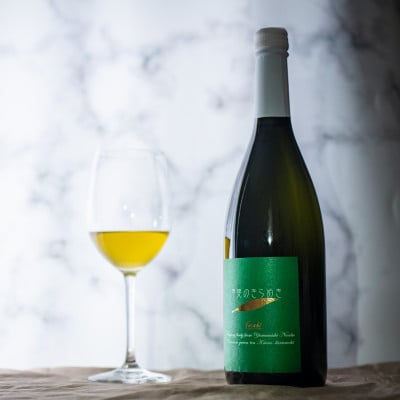 
            プレミアムティー「甲斐のきらめき　天子」720ml【1375380】
          