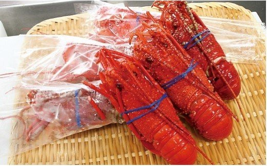 G110 冷凍蒸し伊勢えびB　ONJA020