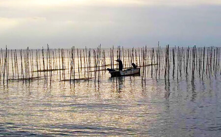 走水 海苔 と 当店とっておき 極上 煎茶 詰め合わせ お楽しみ セット 焼き のり 焼海苔 緑茶 日本茶 お茶 国産 【 横須賀市 】