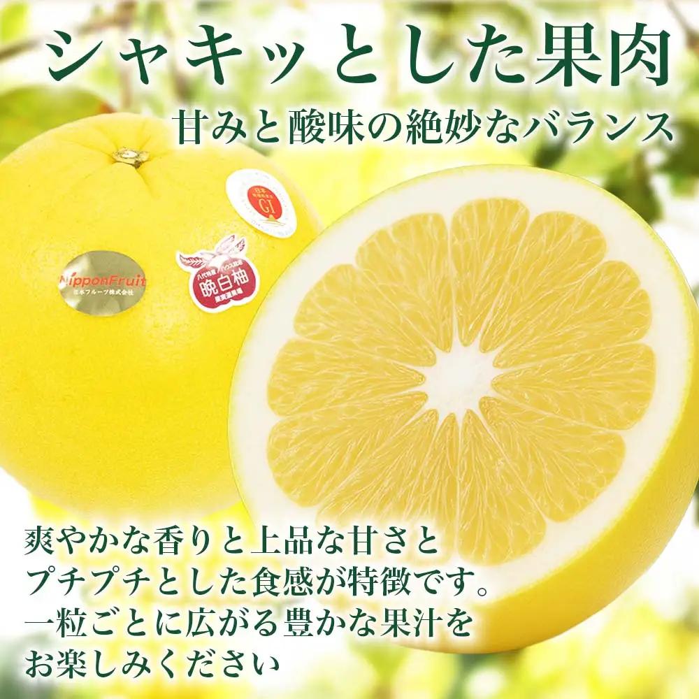 【先行予約】晩白柚 ばんぺいゆ Lサイズ 3玉 約4.5kg 晩白柚 柑橘 【2026年12月上旬より順次発送】