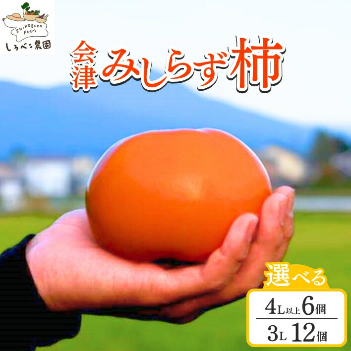 【ふるさと納税】【選べる容量】しろべこ農園の会津みしらず柿 4Lサイズ以上6個入り／3Lサイズ12個入り ※2025年11月下旬～12月下旬頃に順次発送予定