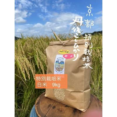 ふるさと納税 京丹後市 令和8年産 丹後こしひかり 白米9kg【特別栽培米】新米 京都の農家から直送もっちりおいしい 精米