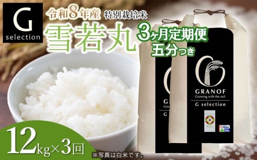 【令和8年産先行予約】【定期便3ヶ月】 特別栽培米 Gセレクション 雪若丸「五分つき」 12kg (6kg×2袋)×3ヶ月 山形県鶴岡市産　株式会社グラノフ