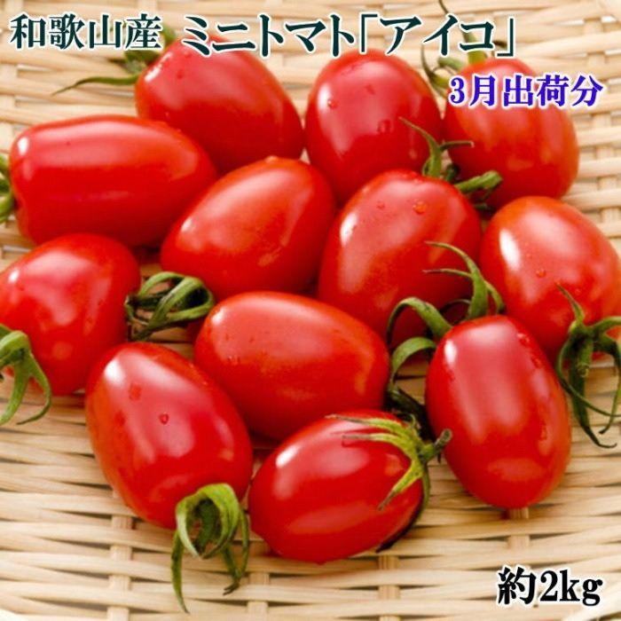 【ふるさと納税】［3月出荷分］和歌山産ミニトマト「アイコトマト」約2kg（S・Mサイズおまかせ）［TM123］ | 和歌山県 印南町 和歌山 返礼品 支援 楽天ふるさと 納税 お取り寄せグルメ 取り寄せ グルメ ミニトマト トマト 野菜 やさい 新鮮野菜