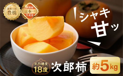 ≪先行予約≫ 次郎柿　平箱（約20～25個） ほぼ 種無し 柿 カキ かき 果物 フルーツ 旬 甘い スイーツ おやつ 高糖度 特産品 産地直送 贈答 贈り物 ギフト 愛知県 豊橋