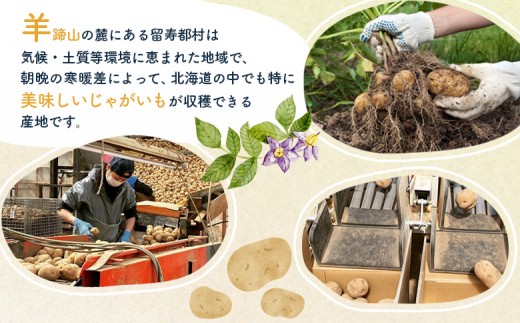越冬じゃがいも（キタアカリ） 5kg