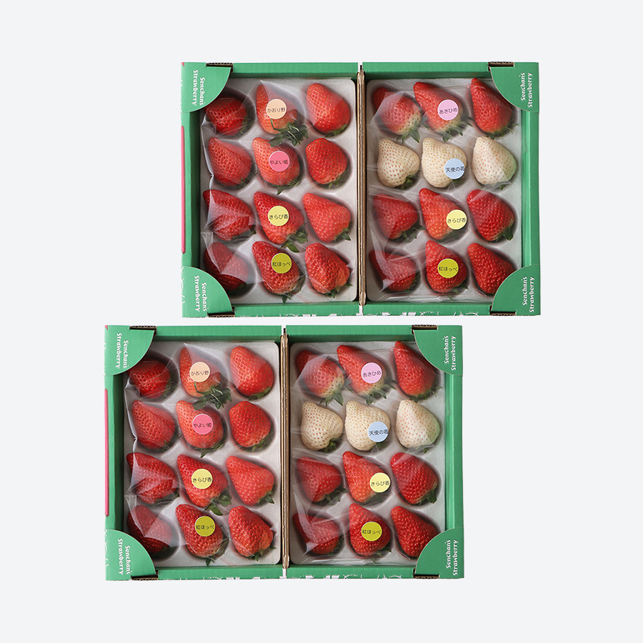 贅沢いちごの食べ比べセット24粒~30粒入×2箱セット