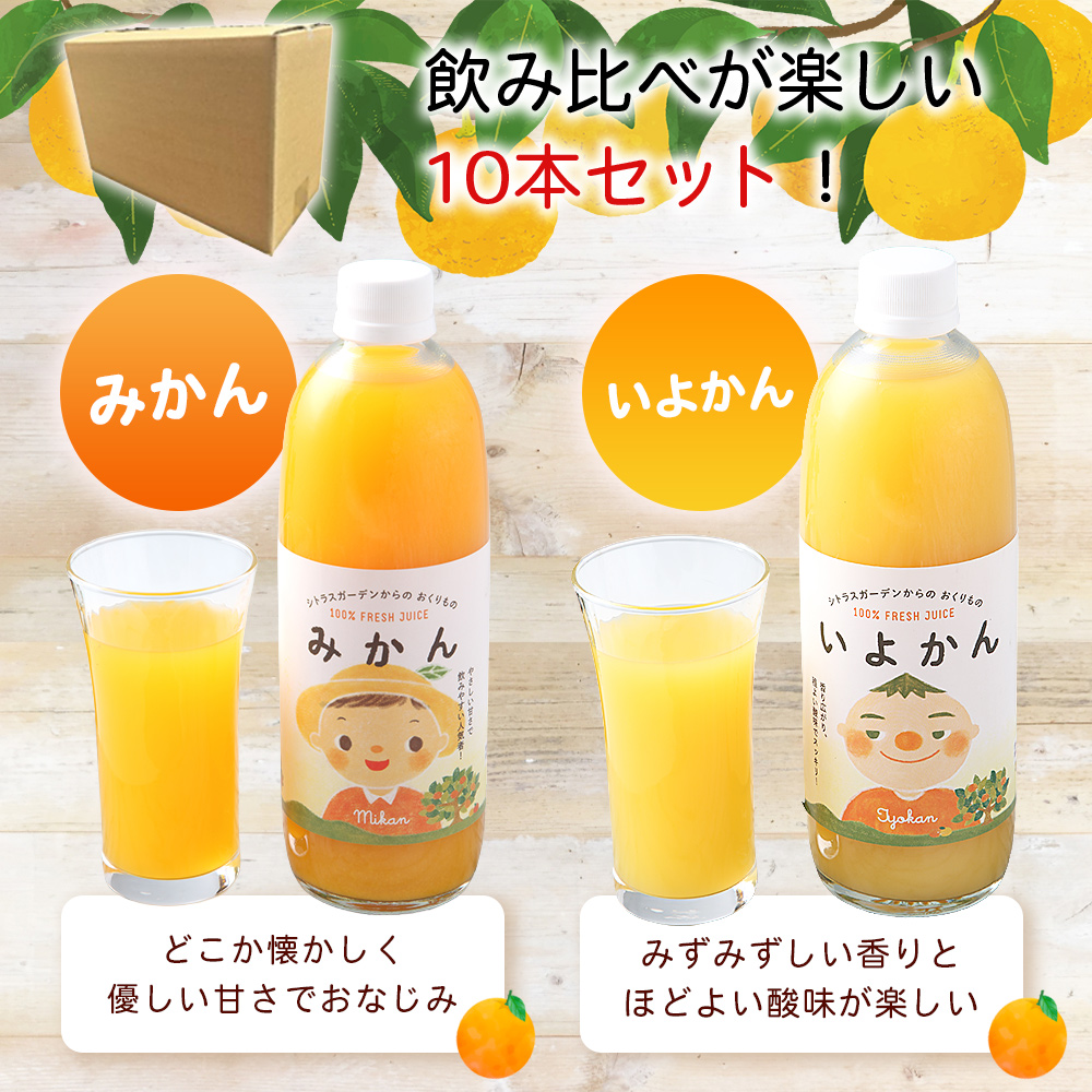 ＜マルワフルーツ柑橘アソート 100％ストレート果汁ジュース (500ml×10本) ＞ 詰め合わせ セット みかん 柑橘 フルーツ 温州みかん 伊予柑 清見 デコヒメ 河内晩柑 特産品 宇都宮物産 
