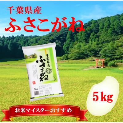 ふるさと納税 大網白里市 【新米 令和7年産】千葉県産「ふさこがね」精米 5kg(5kg×1袋)