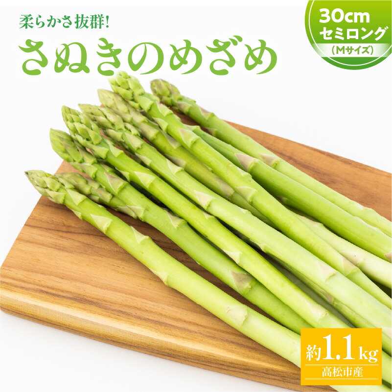 【ふるさと納税】さぬきのめざめセミロング30cm(Mサイズ) 約1.1kg【2026-3月上旬～2026-3月下旬配送】 | アスパラガス 野菜 香川県 オリジナル 品種 シャキシャキ 瀬戸内 香川県 高松市 新鮮 長い ロング
